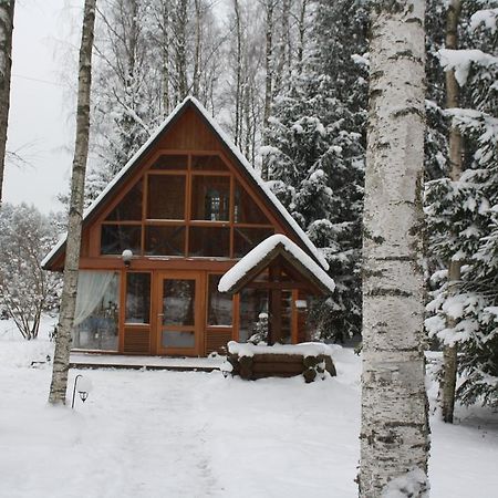Holiday Home Berzlejas Upesgriva Pokoj fotografie